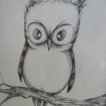 Frazzled Owl by Morgan Wiegert. Pencil on paper, 2013.